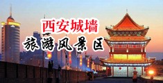 肉棒直接插进去视频中国陕西-西安城墙旅游风景区